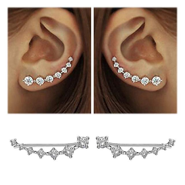 Frendorf | Glamour | Glänzender Zirkon 925 Sterling Silber Ohrring