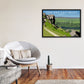 Kuh und Kalb Felsen Ilkley Gerahmter Digitaldruck