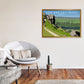 Kuh und Kalb Felsen Ilkley Gerahmter Digitaldruck