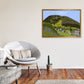 Corris