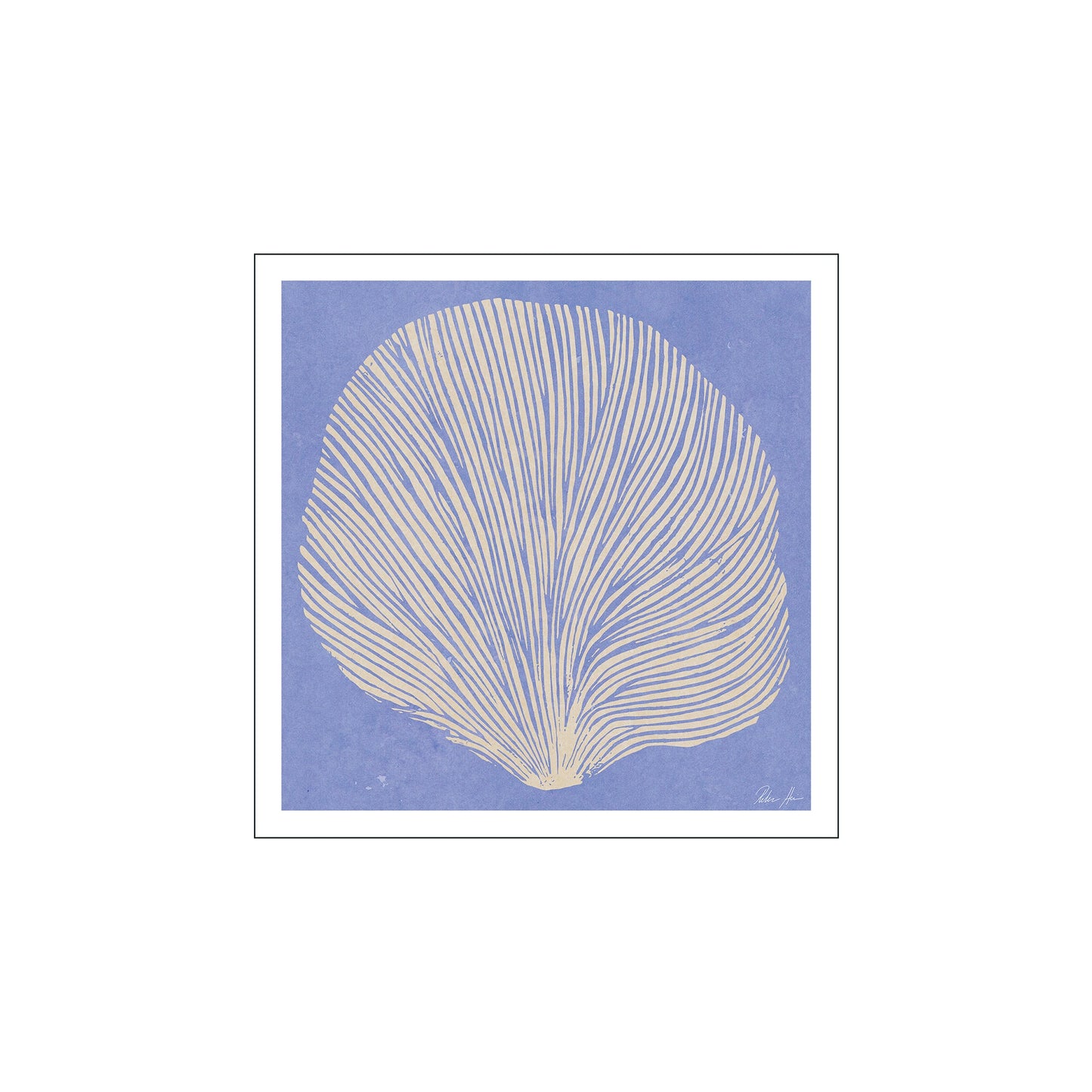 Sea Lavender