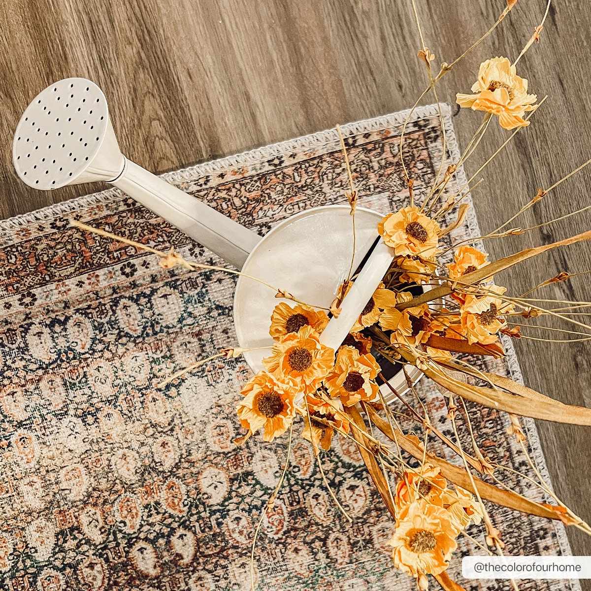 Rust Maligaya distressed waschbarer Teppich - Ausverkauf