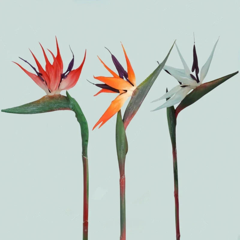 Frendorf | Künstliche Paradiesvogelblumen – 3 Stück Gummi-Strelitzia 62,2 cm langer Stiel für DIY-Home- & Partydécor