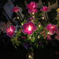 Pfad Solar Blumen Gartenlichter
