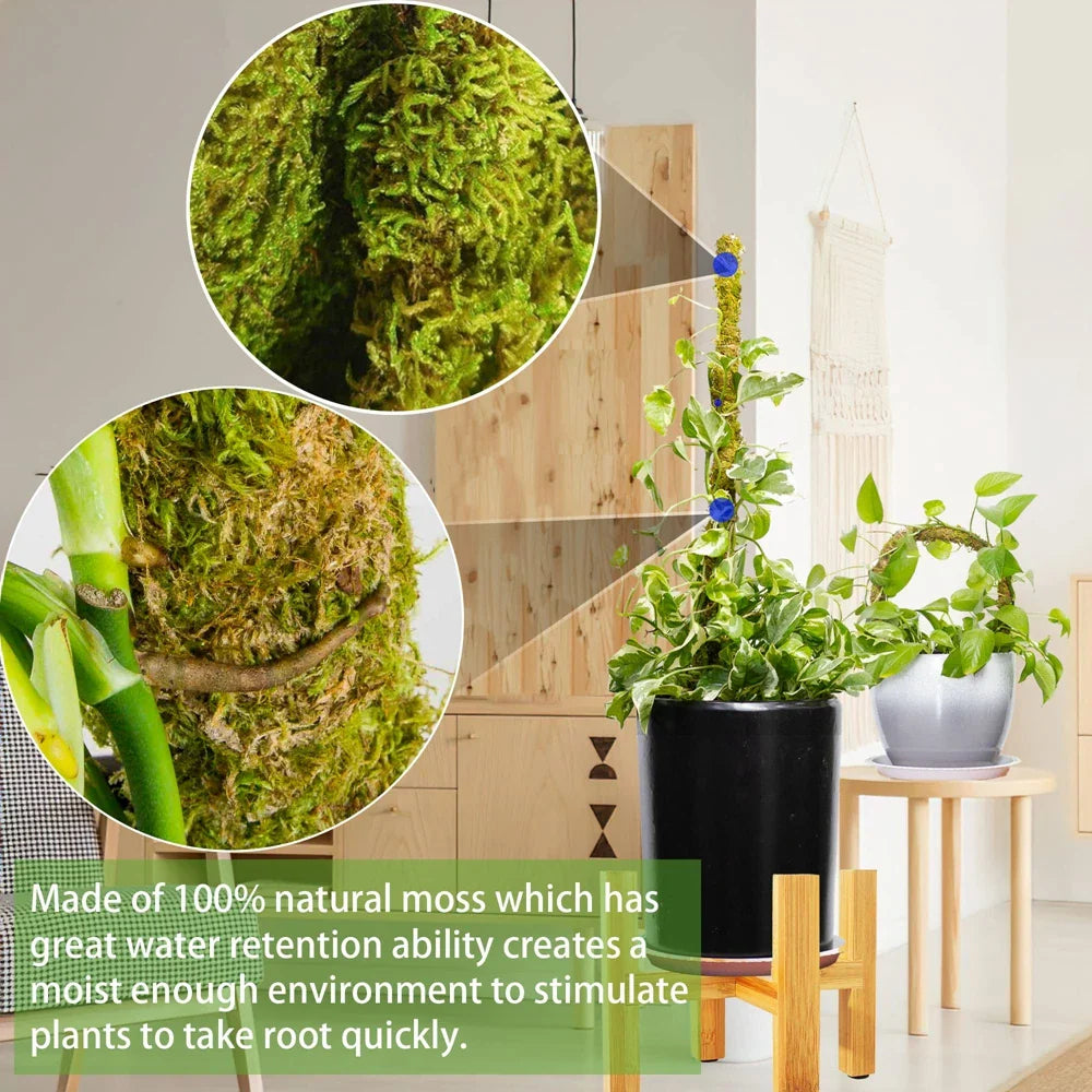 1PC Handmade Biegsame Moosstange für Monstera und Zimmerpflanzen - Echte Moospflanzenstützen für Kletterhilfe