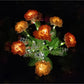 Outdoor Solar LED Blumenlampe