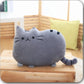 Cookie Cat Kissen