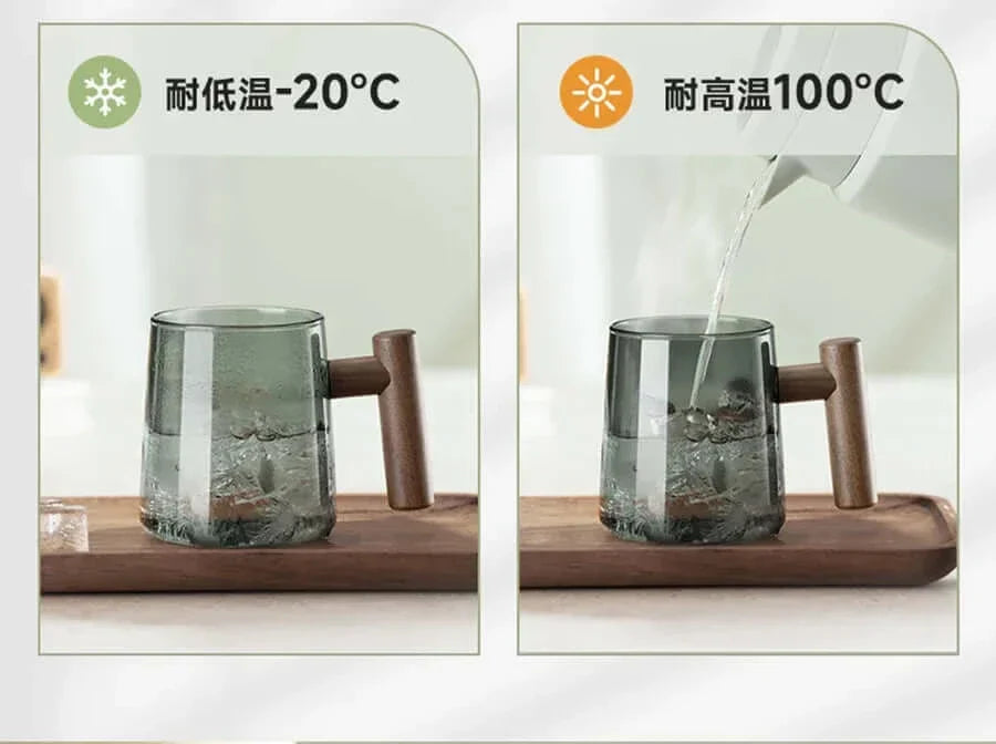 Ultramoderne Glas-Teetasse mit Filter und Deckel