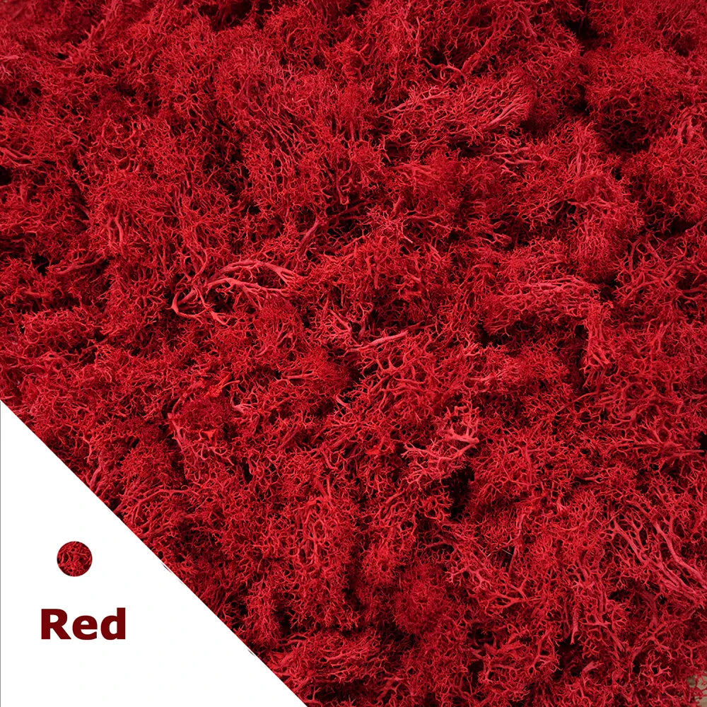 Frendorf | 200g Künstliches Grünes Moosgras – Mini Ewiges Leben Kunstgras für DIY-Basteleien, Haus- & Garten dekoration