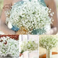 Frendorf | 30 Stück Künstliche Schleierkrautblumen – Real Touch Gypsophila für Hochzeit, Verlobung, Zuhause und Raumdekoration