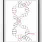 DNA genetischer Code Poster, Einzelhelix Baumdesign Leinwandmalerei Poster für Wohnkultur Wohnzimmer Wandkunst für Schlafzimmer