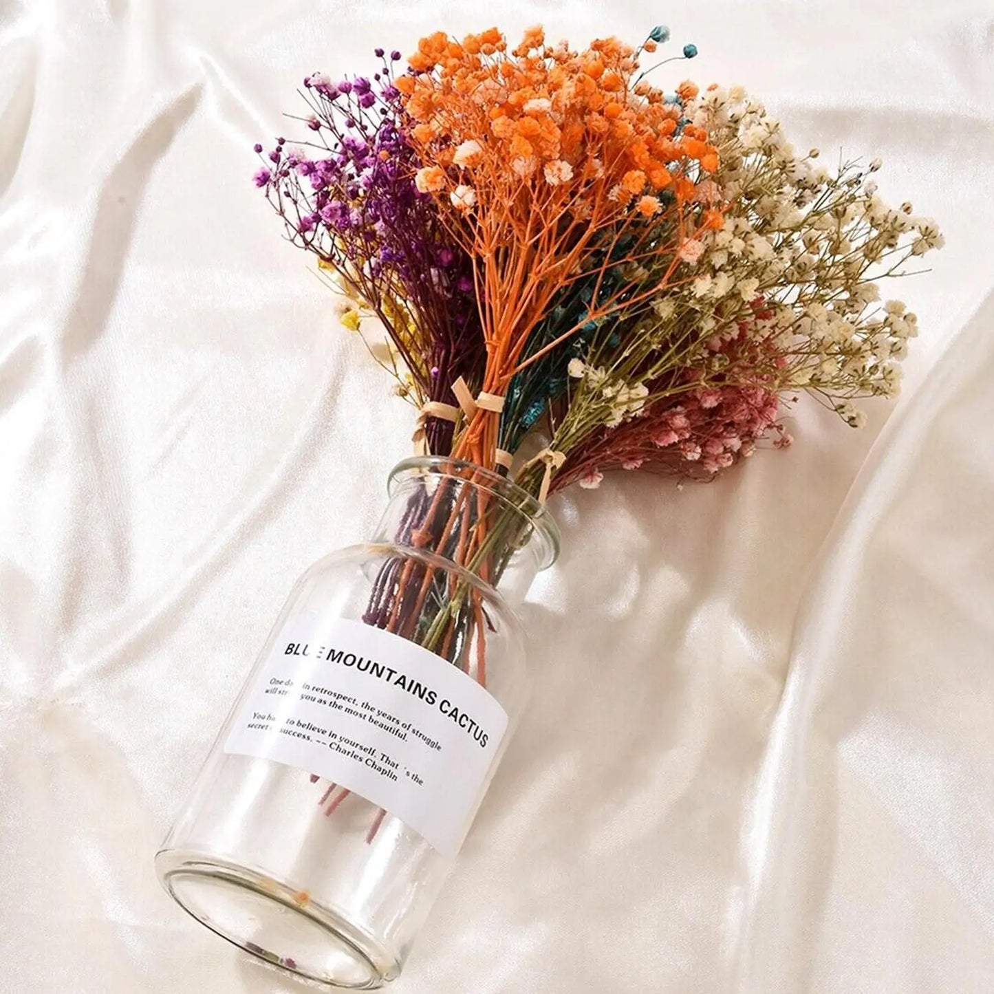 Frendorf | BloomAura Natürliche Getrocknete Schleierkraut-Blüten | Dekorative Trockenblumen | Vielseitige Deko für Zuhause & Events