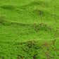 Frendorf | Kunststoffgras Teppich – 50/100cm Fake Moos Rasenfläche für Garten, Hochzeit und Heimdekoration – Grüne Landschaftsmatte Teppich