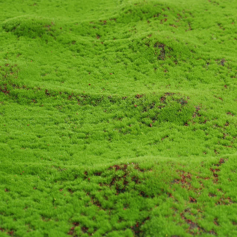 Frendorf | Kunststoffgras Teppich – 50/100cm Fake Moos Rasenfläche für Garten, Hochzeit und Heimdekoration – Grüne Landschaftsmatte Teppich