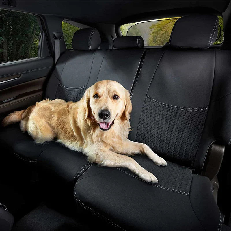 Frendorf | AutoShade UltraMesh Set | UV-Schutz & Hitzeblocker | Für Front- & Heckscheibe | Universell Passend