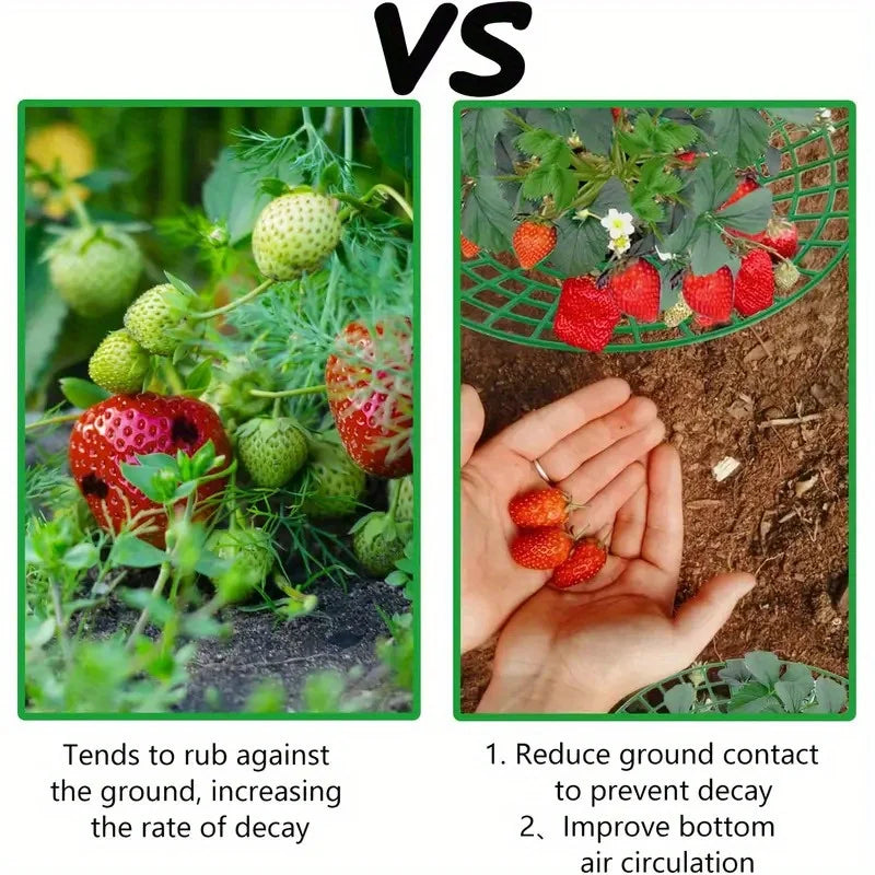 Frendorf | BerryGuard | Pflanzenstützen für Erdbeeren | Schützt vor Fäulnis & Schmutz | Stabil & Wiederverwendbar