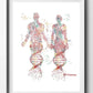 DNA-Genetic-Code-Poster, Einzelhelix-Baumdesign-Leinwandmalerei-Poster für die Wohnkultur Wohnzimmer-Wandkunst für das Schlafzimmer