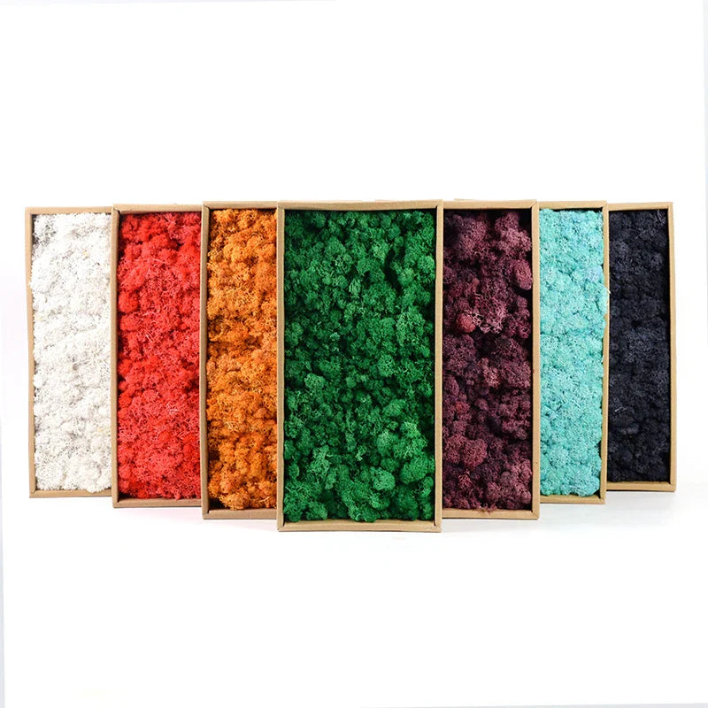 Frendorf | Künstliches Moosgras – 40g/20g Ewiges Lebensmoos für Wohnhausgarten Wanddeko, DIY Mikrolandschaft Zubehör