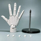 Frendorf | Multi-Pose Zeichnen Sculpting Kunst Hand Modell