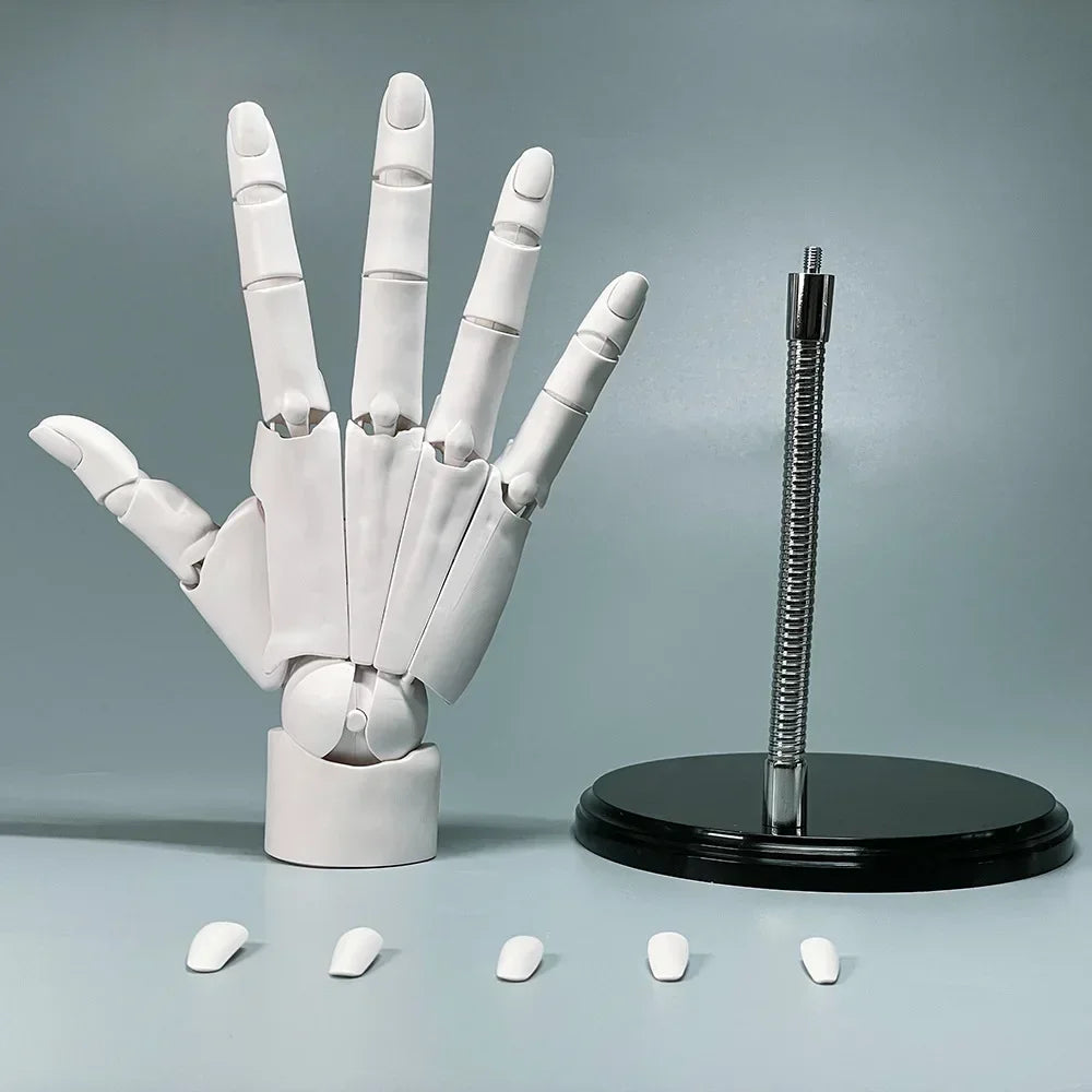 Frendorf | Multi-Pose Zeichnen Sculpting Kunst Hand Modell