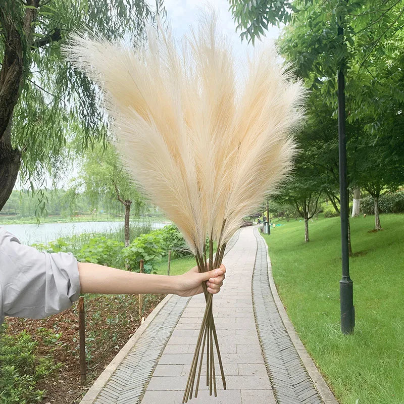 5 Stück 100 cm Künstliches Pampasgras Trockenrohr Blumenstrauß Hochzeitsfeier Dekoration Zuhause Raum DIY Künstliche Pflanzen Dekorationsbedarf