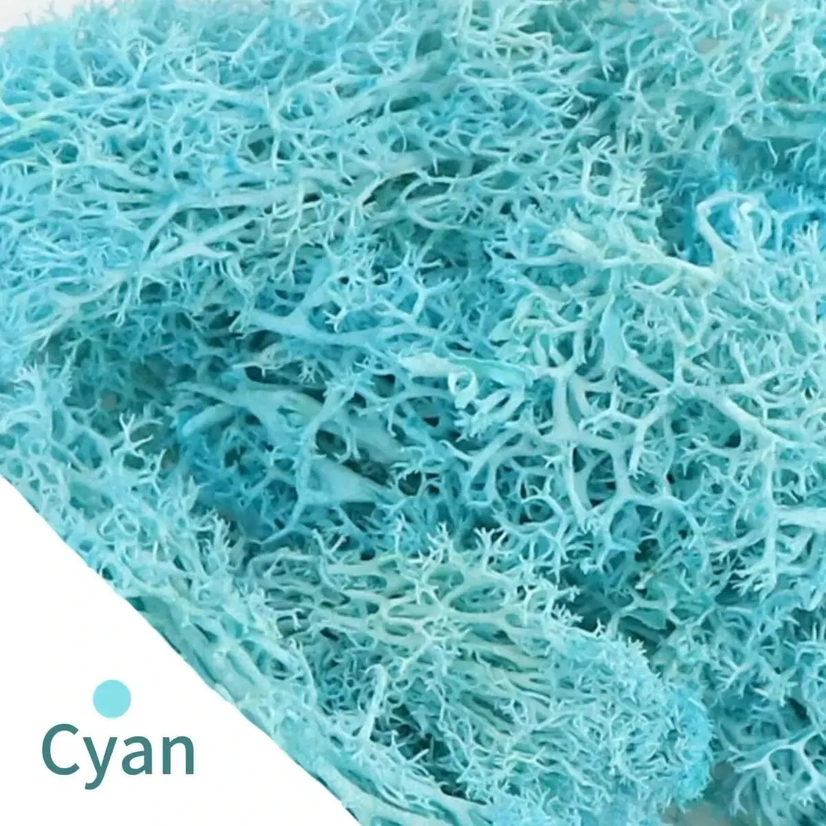 Frendorf | EvergreenPro Deko-Moos | Pflegefrei & Flexibel | Immergrüner Look