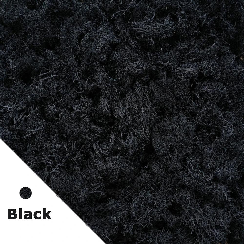 Frendorf | 200g Künstliches Grünes Moosgras – Mini Ewiges Leben Kunstgras für DIY-Basteleien, Haus- & Garten dekoration