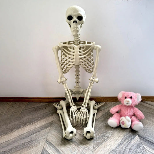 Frendorf | Bewegliches menschliches Skelett 90–165 cm — realistische Dekoration für Halloween und Horrorpartys