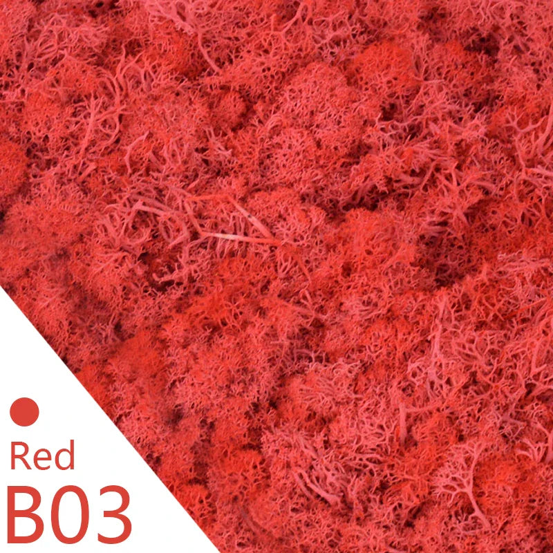 Frendorf | Künstliches Moosgras – 40g/20g Ewiges Lebensmoos für Wohnhausgarten Wanddeko, DIY Mikrolandschaft Zubehör