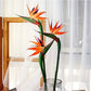 Frendorf | Künstliche Paradiesvogelblumen – 3 Stück Gummi-Strelitzia 62,2 cm langer Stiel für DIY-Home- & Partydécor