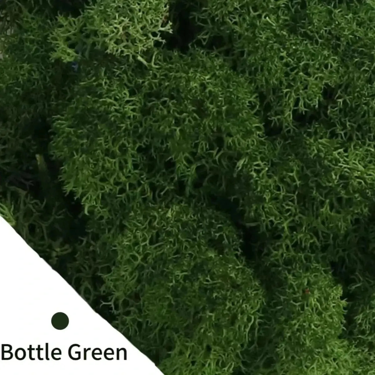 Frendorf | EvergreenPro Deko-Moos | Pflegefrei & Flexibel | Immergrüner Look