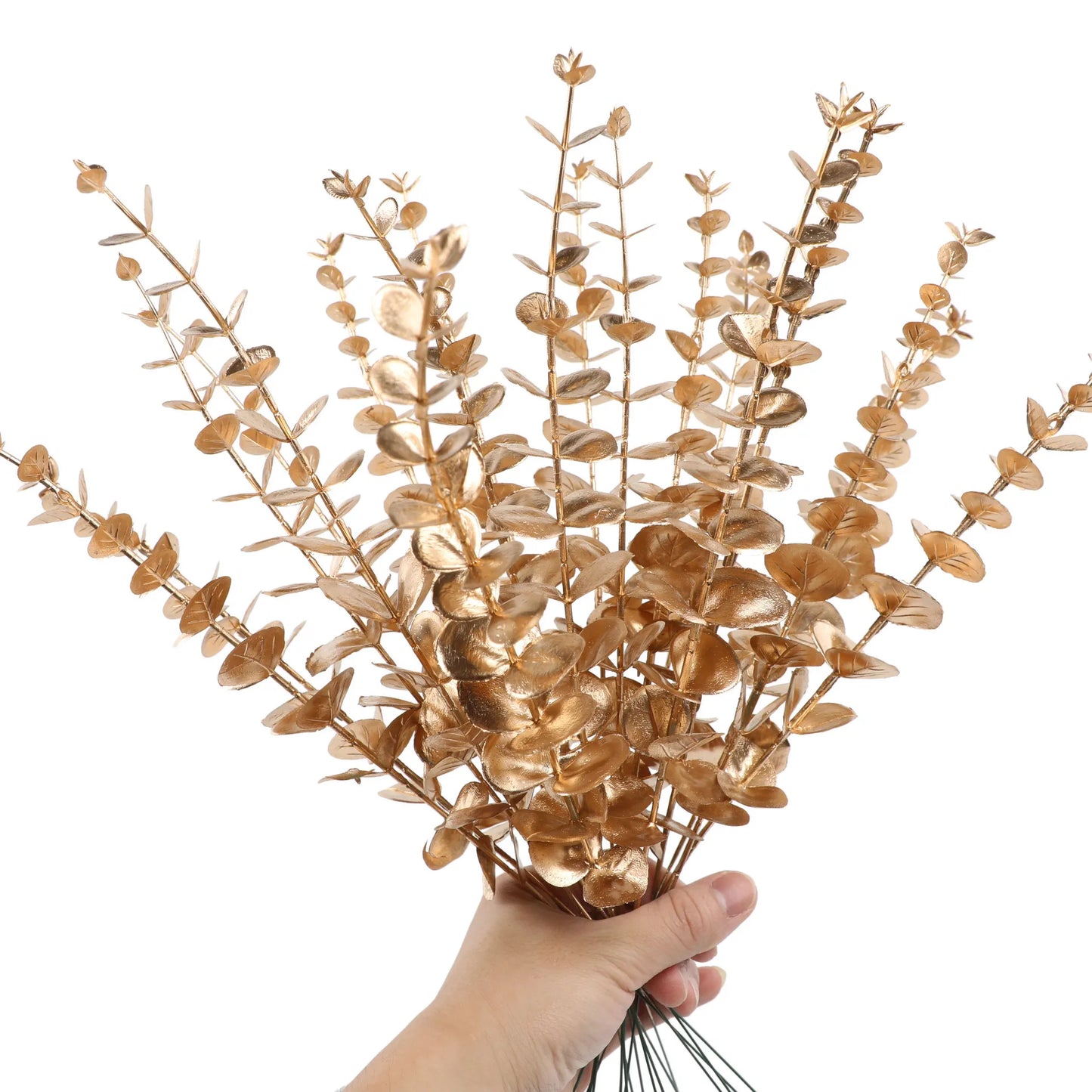 Frendorf | 12 Stück Künstliche Eukalyptus Stängel – Silberdollar Grün für Hochzeitssträuße, Blumenarrangements und Wohnkultur