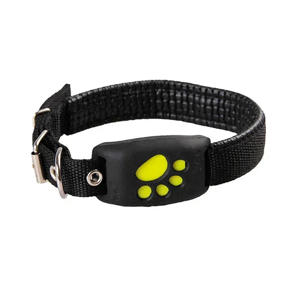 Frendorf | Max GPS Tracker – Für sichere Abenteuer