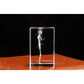 Kristall-Skelett-Würfelmodell, 3D-Lasergravierte menschliche anatomische Statue, Papiergewicht Anatomie Geist, Neurologie, Medizinwissenschaft Geschenk