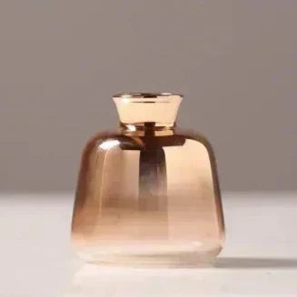 Frendorf | AuraTone Gradient Vase | Exquisite Farbverläufe | Elegante Dekoration für Zuhause