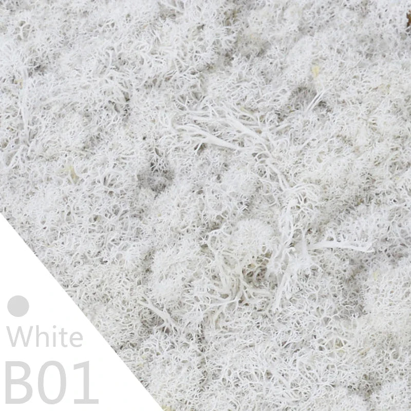 Frendorf | Künstliches Moosgras – 40g/20g Ewiges Lebensmoos für Wohnhausgarten Wanddeko, DIY Mikrolandschaft Zubehör