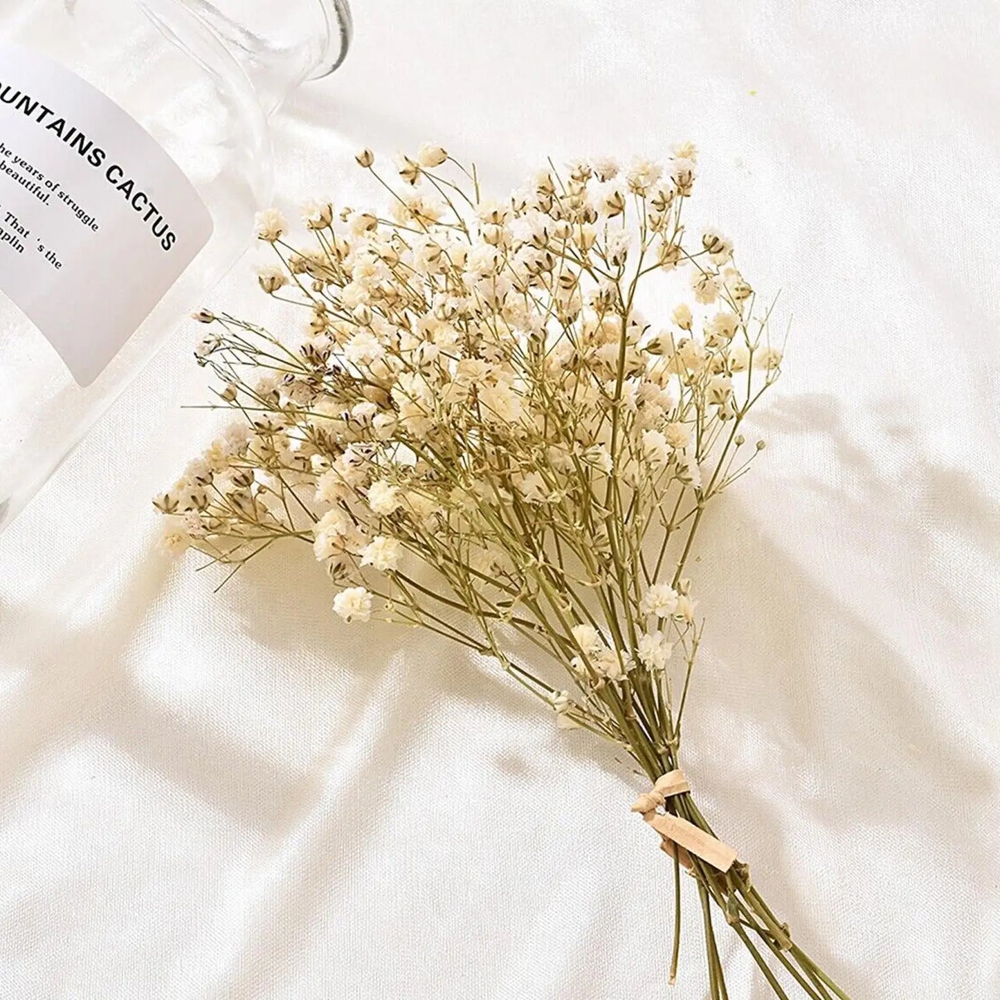 Frendorf | BloomAura Natürliche Getrocknete Schleierkraut-Blüten | Dekorative Trockenblumen | Vielseitige Deko für Zuhause & Events