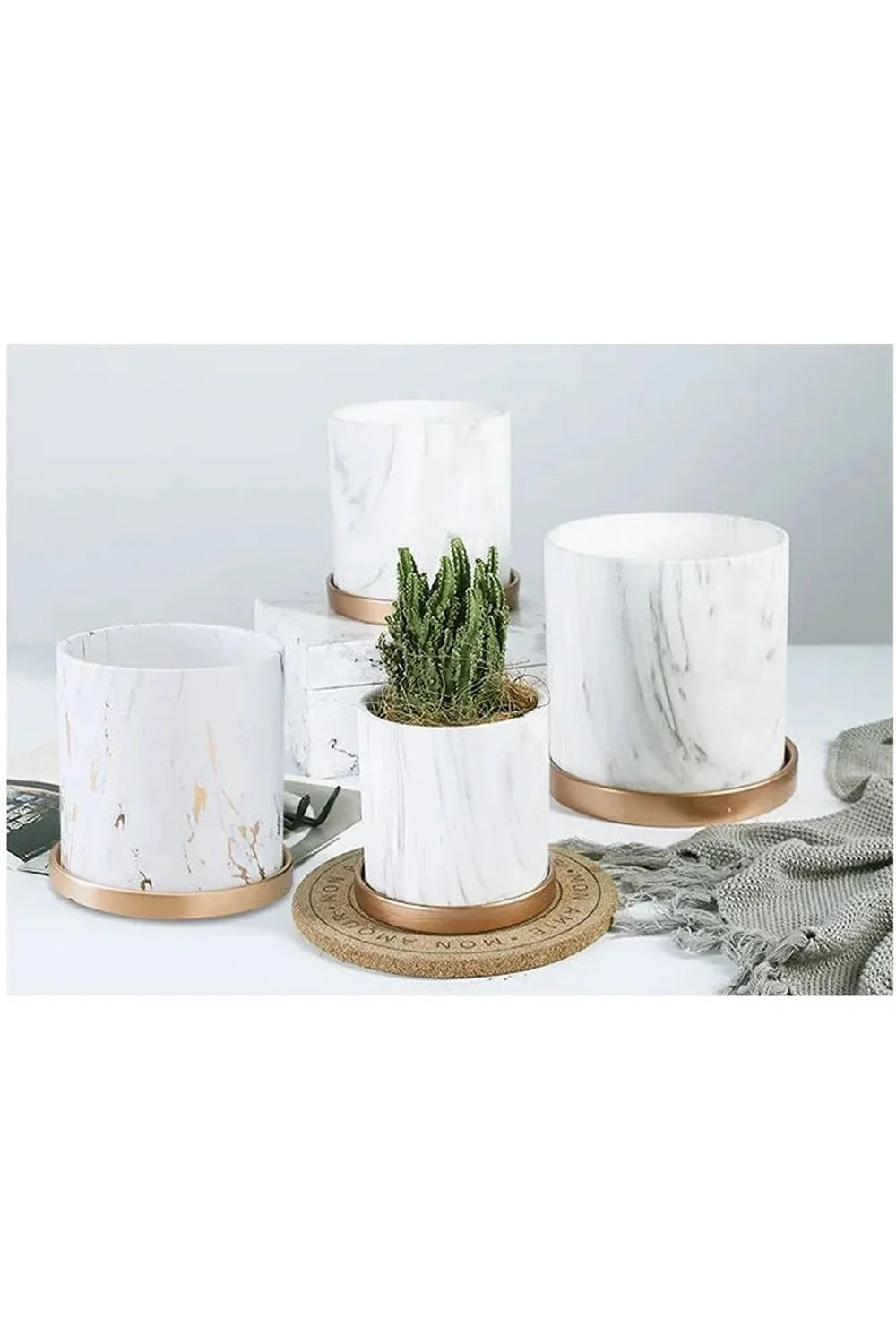 Marmor Goldblatt Pflanzen Topf Set