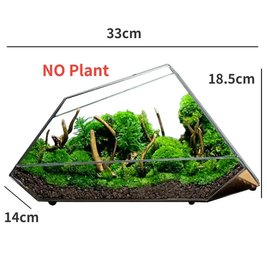 Frendorf | Geometrische Glas Moos Pflanztopf Terrarium Vase