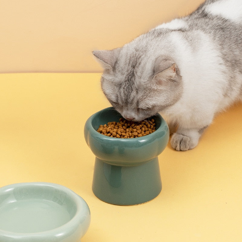 Luna Keramische Erhabene Katzennäpfe