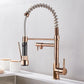 Frendorf | FlowSelect Wasserhahn mit Doppel-Auslauf | Modernes Design | Multifunktionaler Küchenarmatur | Hochwertige Materialien