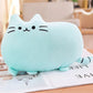 Cookie Cat Kissen