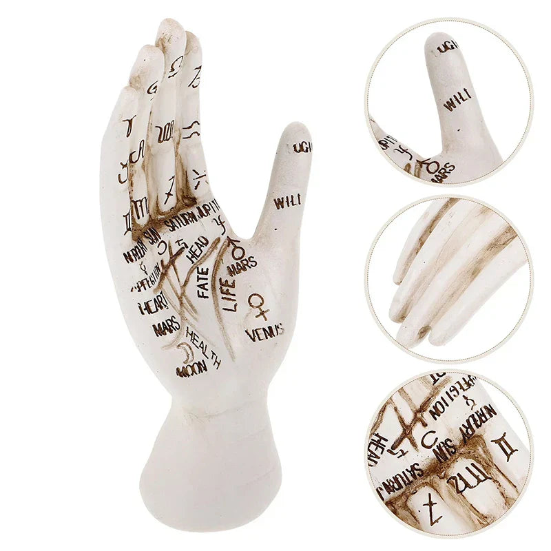 Frendorf | Zodiac-Symbole Mystische Palmistry Hand Skulptur
