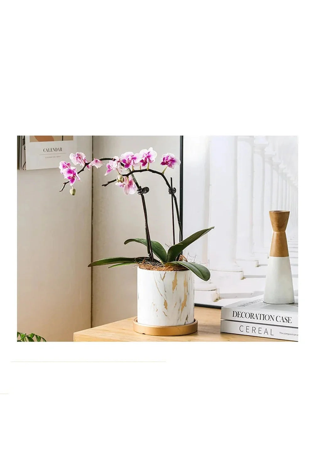 Marmor Goldblatt Pflanzen Topf Set