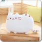 Cookie Cat Kissen