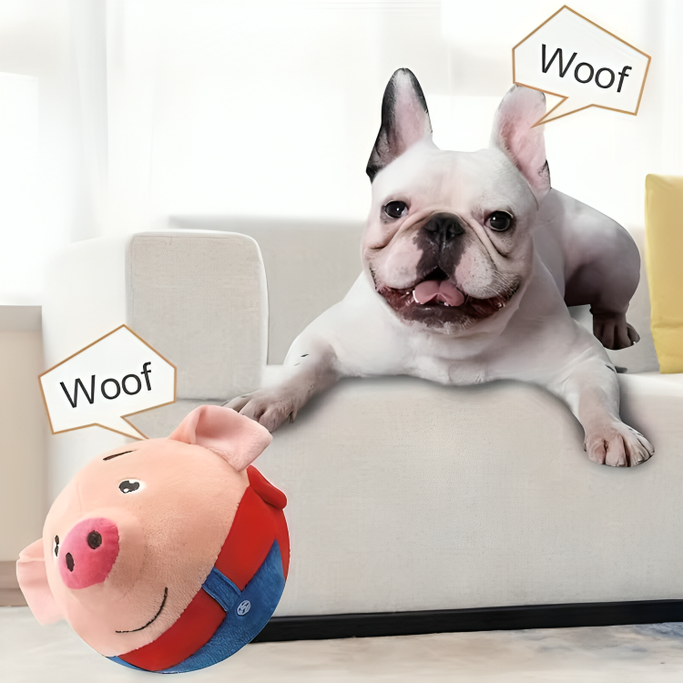 Frendorf | BarkBounce | Ein Spielzeug, das Ihr Hund nie aufgeben möchte!