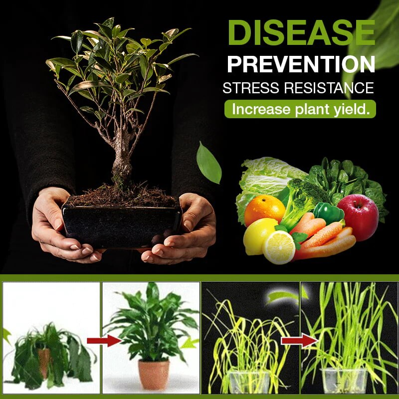 Frendorf |  MagicGrow