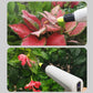 Frendorf | Handheld Easy Gardening Wasser Sprinkler