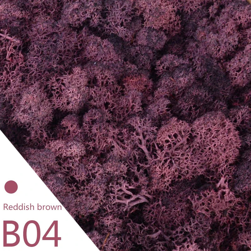 Frendorf | Künstliches Moosgras – 40g/20g Ewiges Lebensmoos für Wohnhausgarten Wanddeko, DIY Mikrolandschaft Zubehör