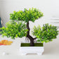 Bonsai Kunstpflanze
